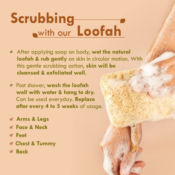 Natural Sun Dried Bath Loofah | Organic Luffa for Bath Shower Skin Exfoliation - Image 4