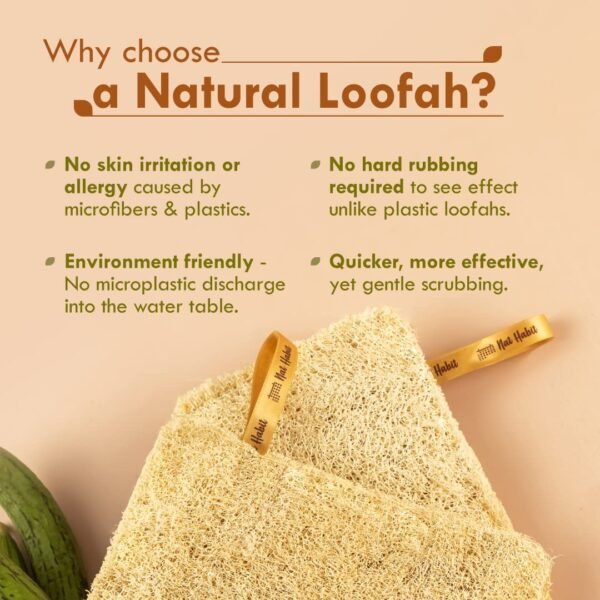 Natural Sun Dried Bath Loofah | Organic Luffa for Bath Shower Skin Exfoliation - Image 3